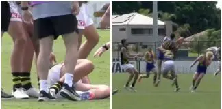 MixCollage-17-Feb-2025-02-16-PM-3888