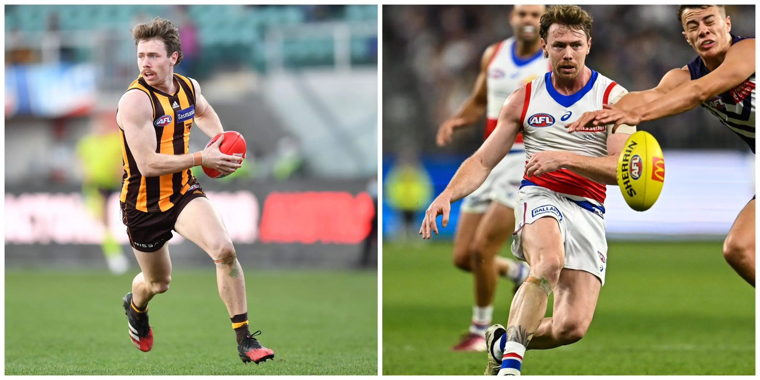 MixCollage-20-Feb-2025-12-29-PM-3130