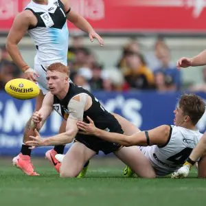 MELBOURNE, AUSTRALIA - SEPTEMBER 22: Jack Riding of the Tigers handpasses the ball during the 2024 VFL Grand Final match between Werribee and the Southport Sharks at IKON Park on September 22, 2024 in Melbourne, Australia. (Photo by Rob Lawson/AFL Photos via Getty Images)