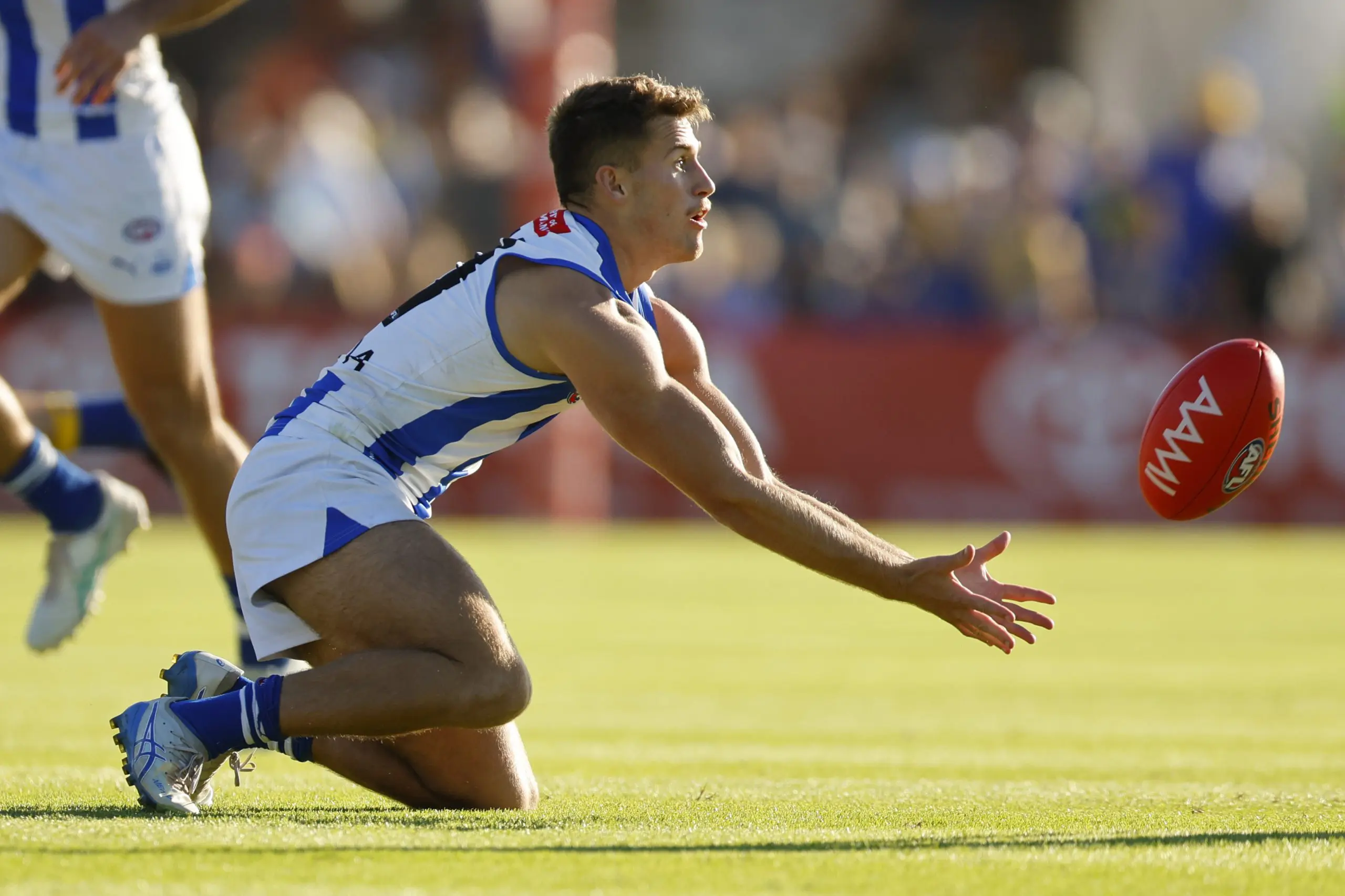 PERTH, AUSTRALIA - MARCH 01: Jacob Konstanty of the Kangaroos reaches for the ball during the 2025 AAMI AFL Community Series match between West Coast Eagles and North Melbourne Kangaroos at Hands Oval on March 01, 2025 in Bunbury, Australia. (Photo by James Worsfold/Getty Images)