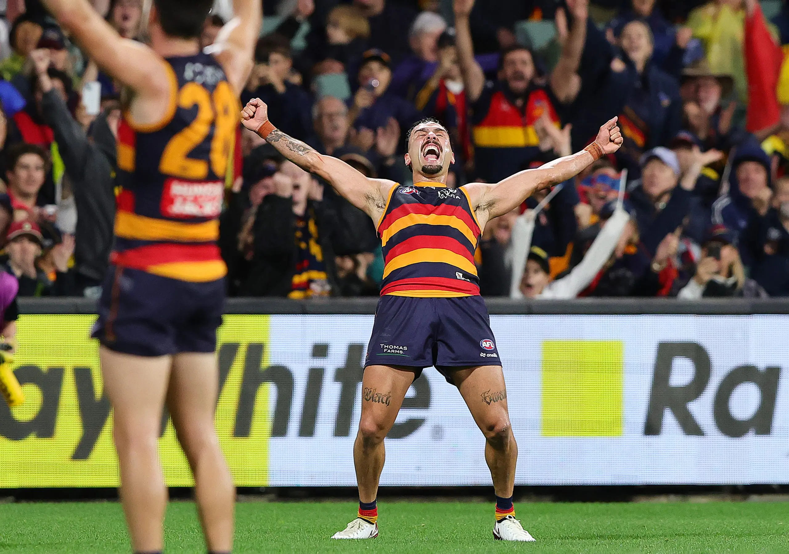 ADELAIDE, AUSTRALIA - APRIL 19: Izak Rankine of the Crows celebrates a goal during the 2025 AFL Round 06 match between the Adelaide Crows and the GWS Giants at Adelaide Oval on April 19, 2025 in Adelaide, Australia. (Photo by Sarah Reed/AFL Photos via Getty Images)