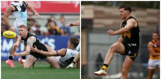 The two Werribee