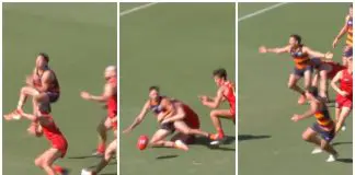 MixCollage-05-Apr-2025-04-16-PM-1451