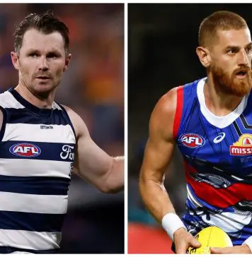 Geelong star’s recovery timeline revealed, : AFL injury news