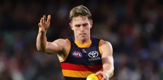 Young Crow tipped to make shock return to football ADELAIDE, AUSTRALIA - JUNE 06: Daniel Curtin of the Crows during the 2025 AFL Round 13 match between the Adelaide Crows and the Brisbane Lions at Adelaide Oval on June 6, 2025 in Adelaide, Australia. (Photo by Sarah Reed/AFL Photos)