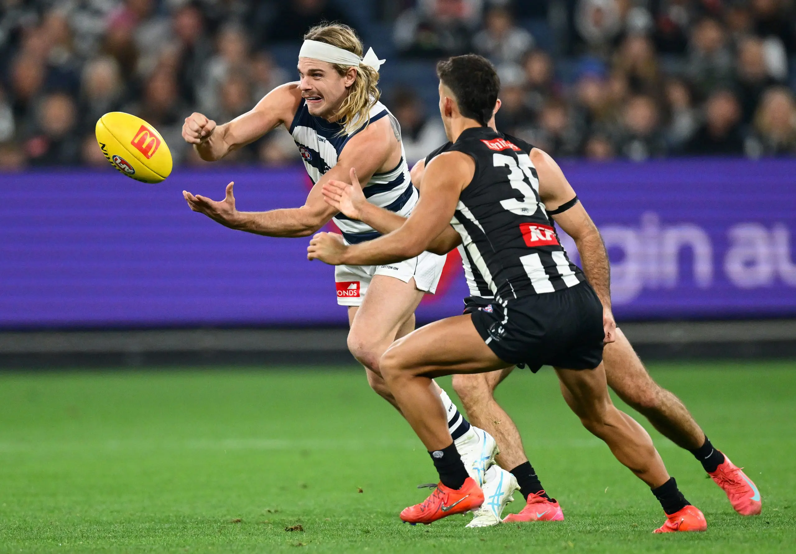 MELBOURNE, AUSTRALIA - MAY 03: Bailey Smith of the Cats handballs whilst being tackled during the round eight AFL match between Collingwood Magpies and Geelong Cats at Melbourne Cricket Ground, on May 03, 2025, in Melbourne, Australia. (Photo by Quinn Rooney/Getty Images)