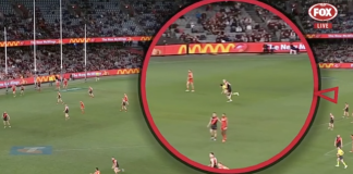 Nate Caddy crashes into an umpire. Credit: Fox Footy coverage