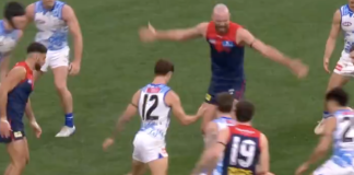 AFL MRO: Will North Melbourne ruckman be in trouble for reckless hit on Demon?