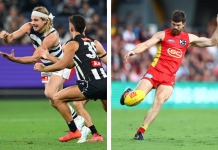 Richmond, Sydney, Essendon count injury carnage as Adelaide match-winner set for surgery: AFL injury news