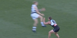AFL MRO: Could Geelong defender be suspended for Brayshaw-Maynard act?