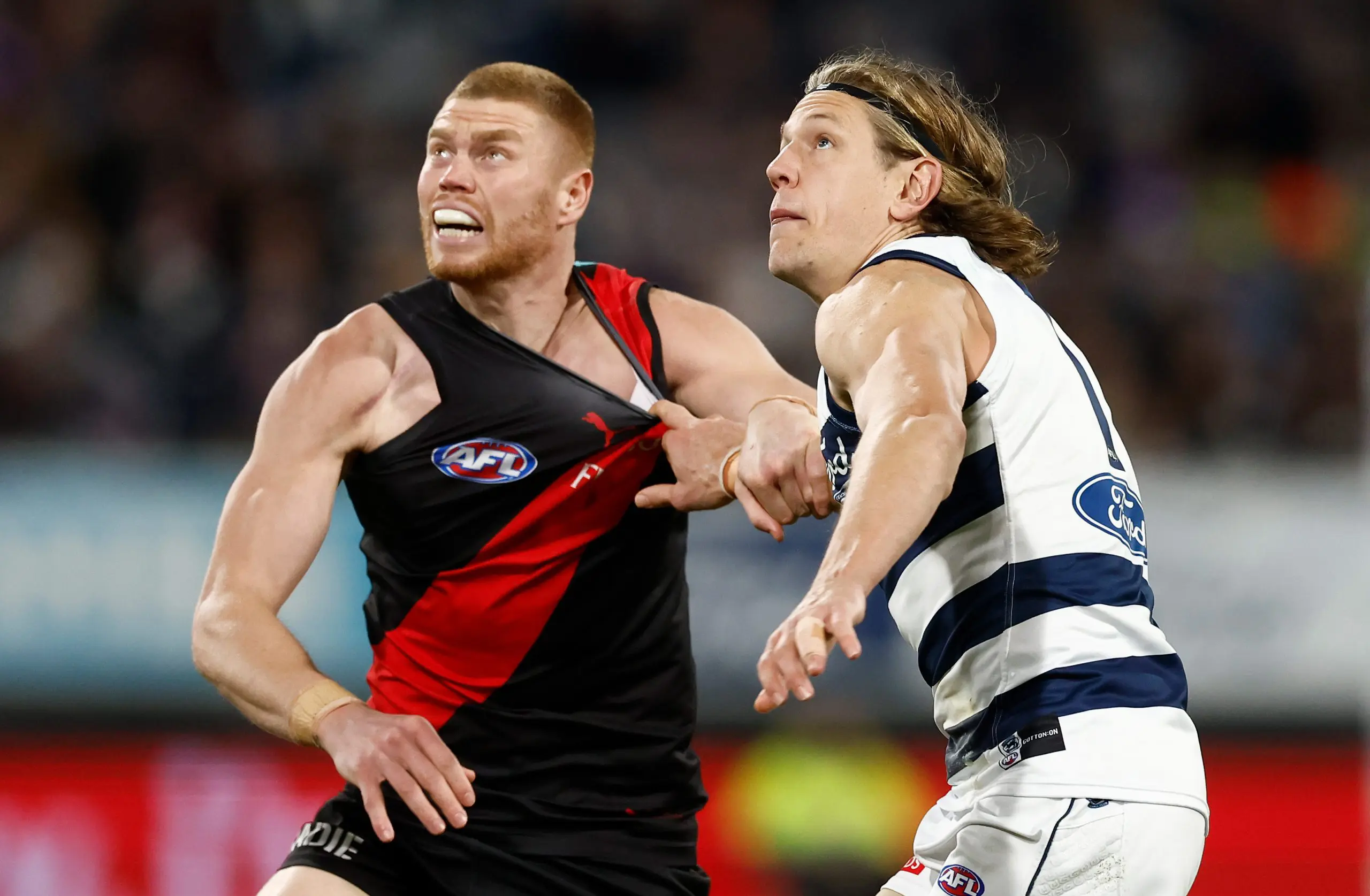 GEELONG, AUSTRALIA - AUGUST 08: Peter Wright of the Bombers and Rhys Stanley of the Cats compete in a ruck contest during the 2025 AFL Round 22 match between the Geelong Cats and the Essendon Bombers at GMHBA Stadium on August 8, 2025 in Geelong, Australia. (Photo by Michael Willson/AFL Photos via Getty Images)