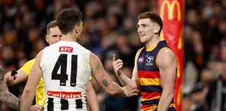 ADELAIDE, AUSTRALIA - SEPTEMBER 04: Brody Mihocek of the Magpies and Mark Keane of the Crows exchange words during the AFL First Qualifying Final match between the Adelaide Crows and the Collingwood Magpies at Adelaide Oval on September 04, 2025 in Adelaide, Australia. (Photo by Michael Willson/AFL Photos via Getty Images)