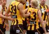 Former Hawthorn draftee signs with VFL club box hill