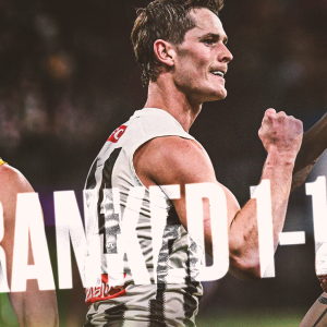 Every AFL team’s list ranked 1-18