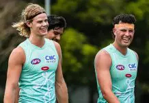 St Kilda’s contingency plan if star ruck departs revealed: AFL trade news 619396756_18553986793012808_7111126821770005735_n