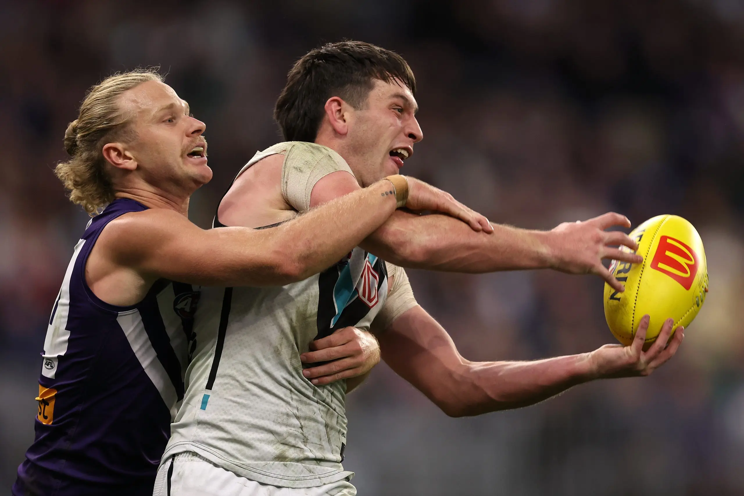 PERTH, AUSTRALIA - AUGUST 25: Zak Butters of the Power contests for the ball against Corey Wagner of the Dockers during the round 24 AFL match between Fremantle Dockers and Port Adelaide Power at Optus Stadium, on August 25, 2024, in Perth, Australia. (Photo by Paul Kane/Getty Images)