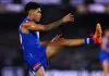 AFL MRO: North Melbourne enforcer learns fate for slinging tackle MELBOURNE, AUSTRALIA - JULY 03: Paul Curtis of the Kangaroos kicks the ball during the round 17 AFL match between North Melbourne Kangaroos and Western Bulldogs at Marvel Stadium on July 03, 2025 in Melbourne, Australia. (Photo by Morgan Hancock/Getty Images)