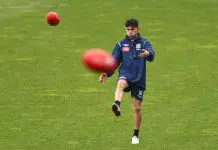 Returning Cat’s cameo dims the Suns’ shine GEELONG, AUSTRALIA - SEPTEMBER 22: Tyson Stengle of the Cats trains during a Geelong Cats Training Session at GMHBA Stadium on September 22, 2025 in Geelong, Australia. (Photo by Morgan Hancock/Getty Images)