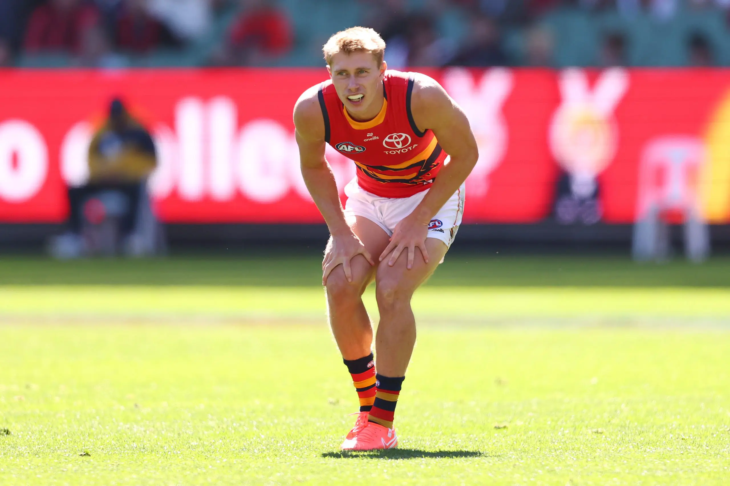 MELBOURNE, AUSTRALIA - MARCH 22: Sid Draper of the Crows reacts to an injury during the round two AFL match between Essendon Bombers and Adelaide Crows at Melbourne Cricket Ground, on March 22, 2025, in Melbourne, Australia. (Photo by Morgan Hancock/AFL Photos/via Getty Images)