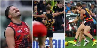 Adelaide can’t win…and is that the umpire’s fault? AFL adds to list of mistakes against Adelaide