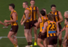 AFL to investigate after Hawthorn star reveals objects were thrown at players