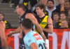 AFL MRO: Is this young Tiger in trouble for this incident?