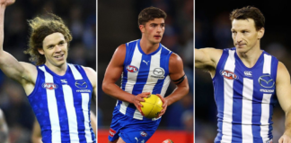 Fan list: Ranking the top 10 North Melbourne players I’ve seen 3 Plate (3)