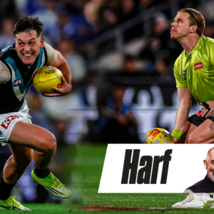 AFL ump furore: Adults treating others like adults? I’d like to see that