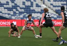 VFL star spices up interest from AFL clubs GEELONG, AUSTRALIA - SEPTEMBER 07: Marcus Herbert of the Cats in action during the 2024 VFL First Semi Final match between the Geelong Cats and Southport Sharks at GMHBA Stadium on September 07, 2024 in Geelong, Australia. (Photo by Rob Lawson/AFL Photos via Getty Images)
