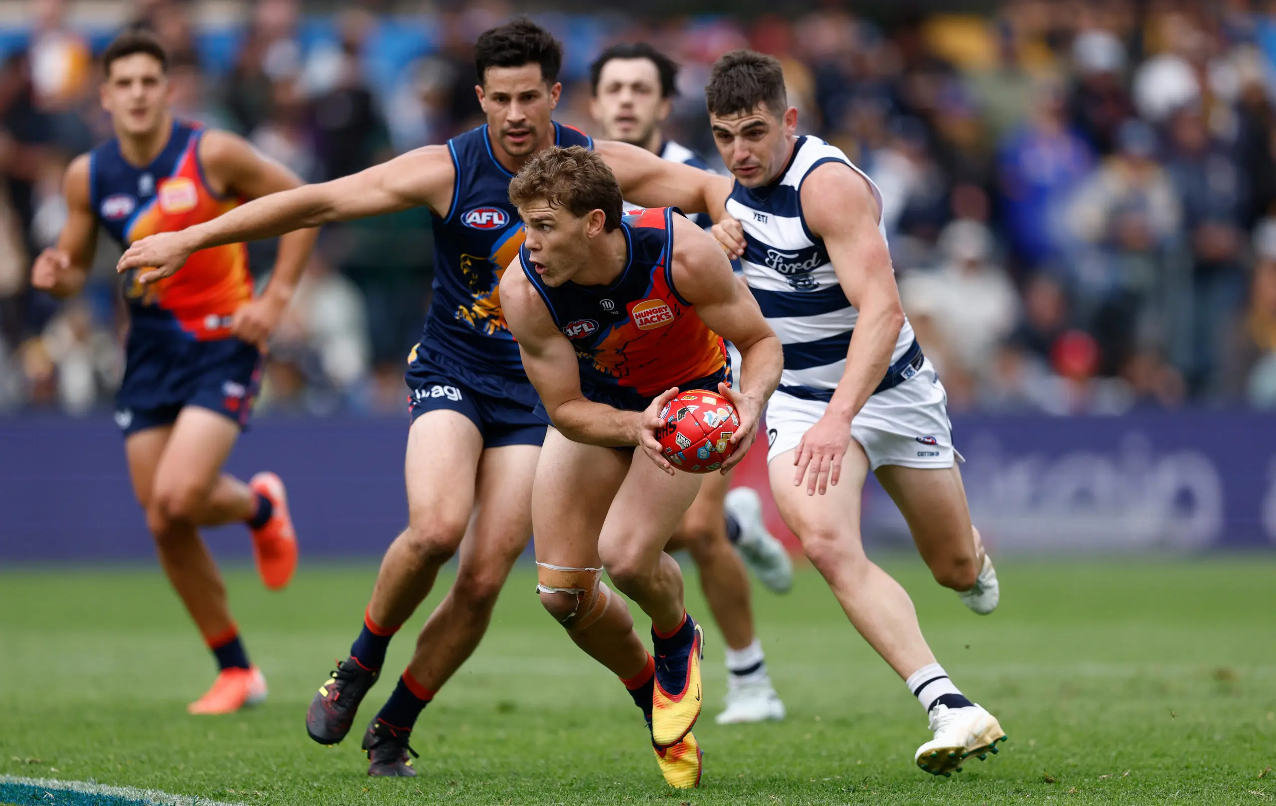 ADELAIDE, AUSTRALIA - APRIL 12: Deven Robertson of the Eagles in action during the 2026 AFL Round 05 match between the Geelong Cats and the West Coast Eagles at Norwood Oval on April 12, 2026 in Adelaide, Australia. (Photo by Michael Willson/AFL Photos via Getty Images)
