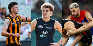 Free agency targets, trading stars and attacking the AFL Draft: Avenues for Carlton’s list build in post-Voss era 3 Plate (19)