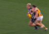 Hawthorn livewire comments