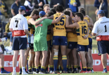 SANFL powerhouse “proud” of AFL draft success stories despite glaring concern SANFL Club Woodville-West Torrens. Credit: WWTFC