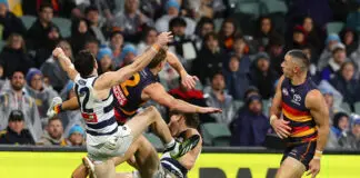 AFL Tribunal: Crows veteran learns fate for shove on young Cat ADELAIDE, AUSTRALIA - JUNE 04: Jordan Dawson of the Crows and Mark O'Connor of the Cats and Connor O'Sullivan of the Cats Taylor Walker of the Crows during the 2026 AFL Round 13 match between the Adelaide Crows and the Geelong Cats at Adelaide Oval on June 4, 2026 in Adelaide, Australia. (Photo by Sarah Reed/AFL Photos via Getty Images)