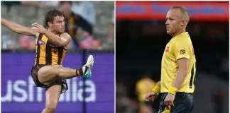 Former AFL umpire exposes flaw in Watson no-goal ruling MixCollage-03-Jun-2026-06-40-AM-5210