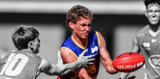 “Need three of him”: Akermanis on Lions AFL Draft prospect “Need three of him”: Akermanis on Lions AFL Draft prospect