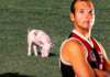 “There is a pig at full-forward!”: The day the AFL’s SCG became the Animal House pigft