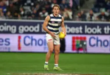VFL, SANFL and WAFL grand finals: Three rivalries, three huge deciders GEELONG, AUSTRALIA - JULY 05: George Stevens of the Cats takes possession of the ball during the round 17 AFL match between Geelong Cats and Richmond Tigers at GMHBA Stadium on July 05, 2025 in Geelong, Australia. (Photo by Morgan Hancock/Getty Images)