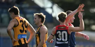 Hawks down: Has Hawthorn’s premiership credentials just been blown apart? LAUNCESTON, AUSTRALIA - JULY 04: Jacob van Rooyen of the Demons celebrates a goal during the round 17 AFL match between Hawthorn Hawks and Melbourne Demons at University of Tasmania Stadium, on July 04, 2026, in Launceston, Australia. (Photo by Steve Bell/Getty Images)