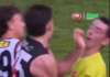 VFL players in hot water over umpire contact VFL players in hot water over umpire contact