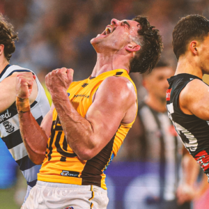 Using the AFL’s new Brownlow Medal voting data, a NEW model predicts the 2026 winner