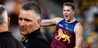 Logan the Lion: Story behind AFL superstar’s meteoric rise Logan the Lion: Story behind AFL superstar’s meteoric rise