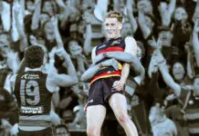Cook-ing with gas: The chats with under-siege Adelaide coach fuelling a breakout year Cooking with gas: Crows utility speaks ahead of maiden AFL Finals campaign