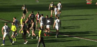 Brown, Ziebell reported
