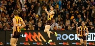 Preliminary final preview