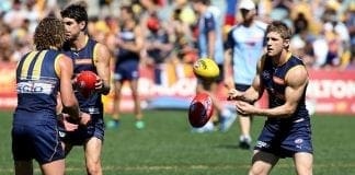 DONE DEAL: Selwood joins Cats