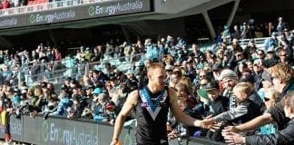Tigers sign delisted Port mid
