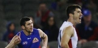 Suns sign delisted dog