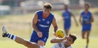 Mitchell Hibberd signs contract extension with North Melbourne
