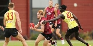 Essendon youngster Aaron Francis sidelined with calf injury